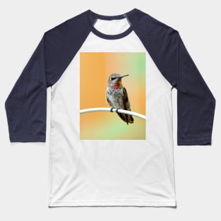 Anna's Hummingbird Baseball T-Shirt